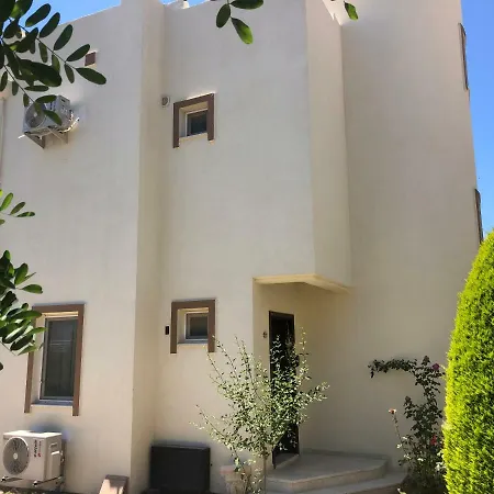 Ozzie Villa Milas